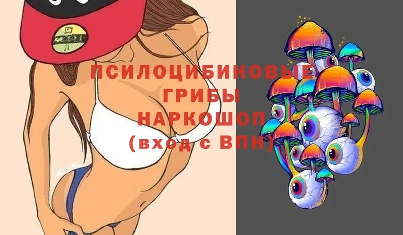 Псилоцибиновые грибы мицелий  Ардон 